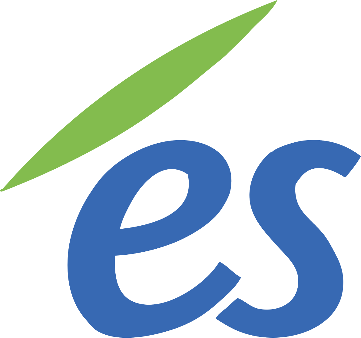ELECTRICITE DE STRASBOURG