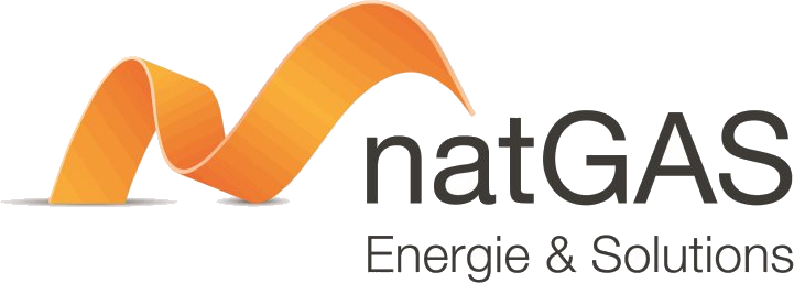 NATGAS FRANCE